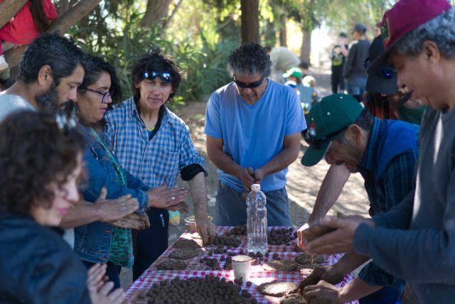 Adultos elaborando bombas de semillas en actividad comunitaria por el Día de los Patrimonios 2025 en Curimón